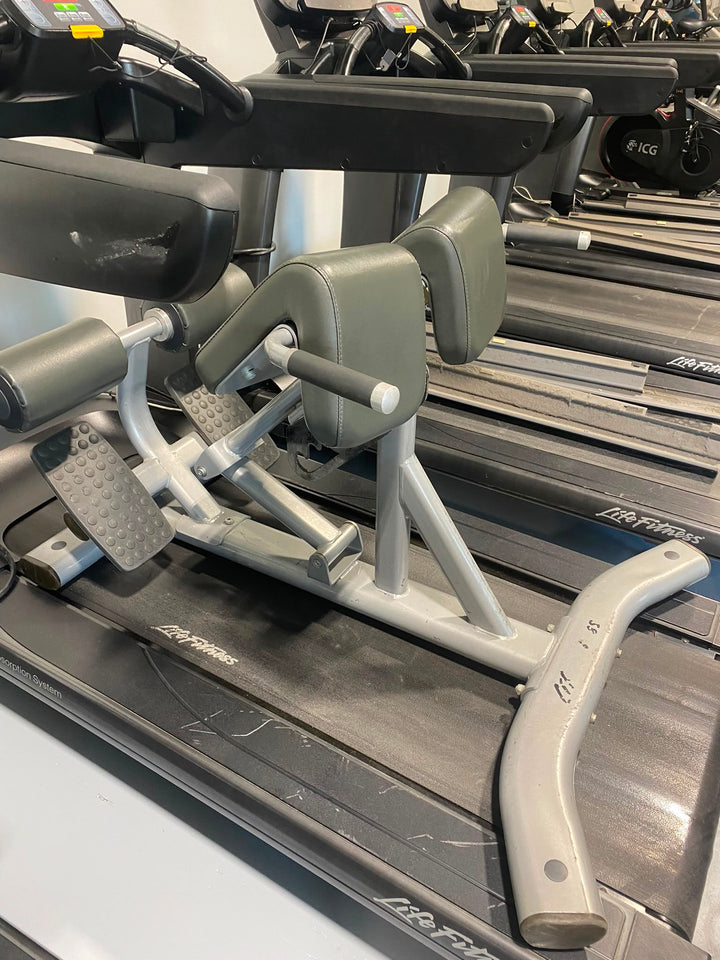 Life Fitness Leg Raise - Gym Trader